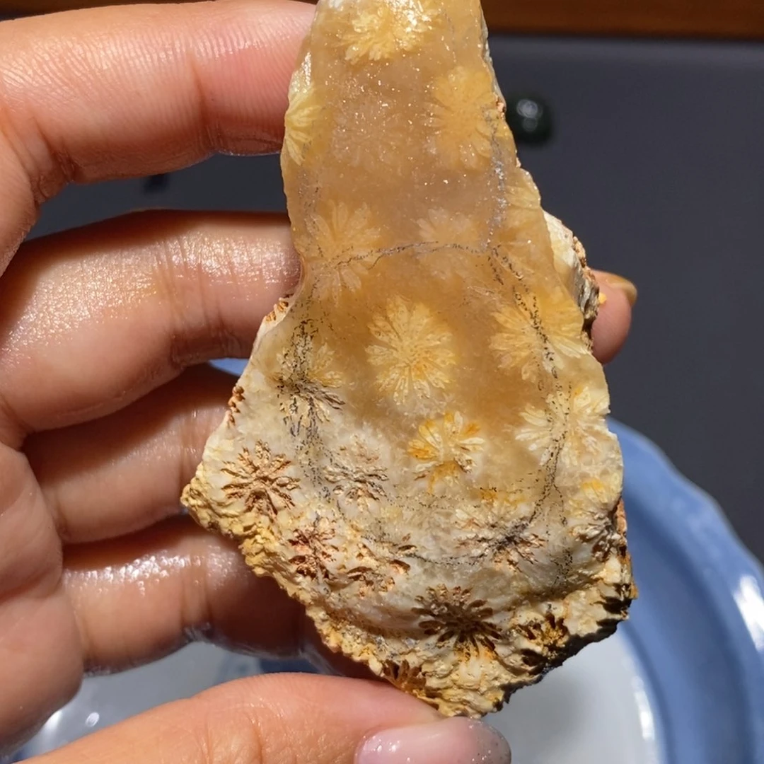 【闪购商品】未镶嵌手镯硅化玉