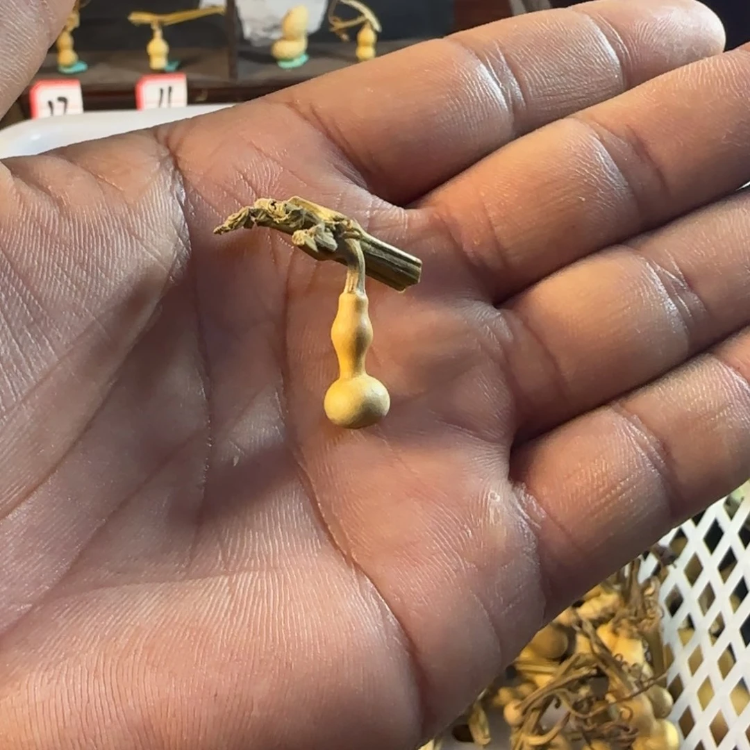 屿*见我的小姐姐们都是我的小可爱