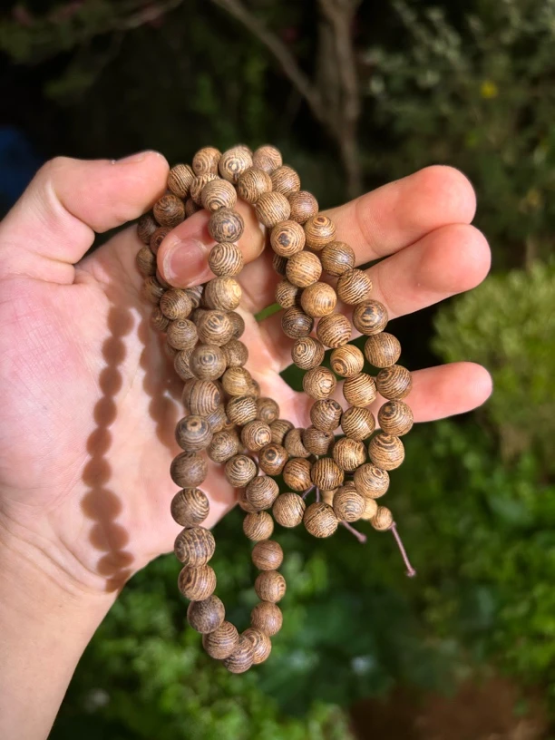 C46【阿强专属】土特产非菌类