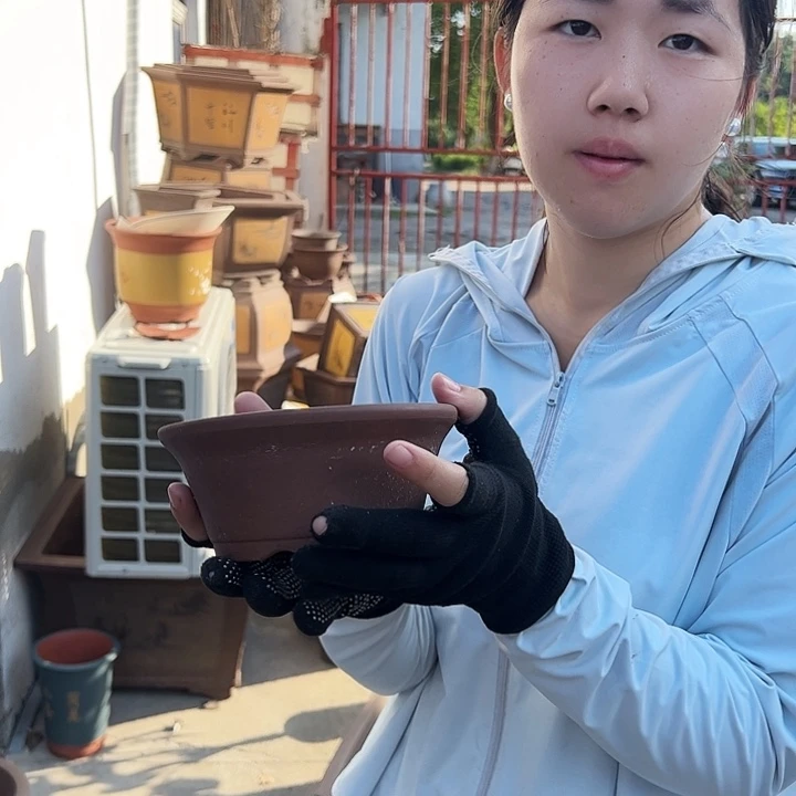 A275花盆花盆花盆花盆