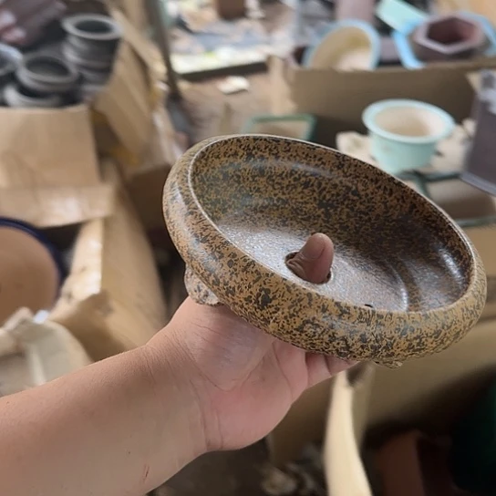 一哈来我这儿吃饭啊亲爱的媳妇