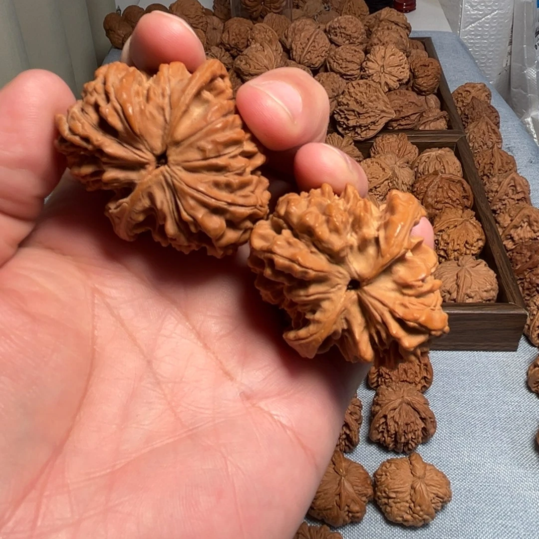 .***核桃核桃核桃核桃