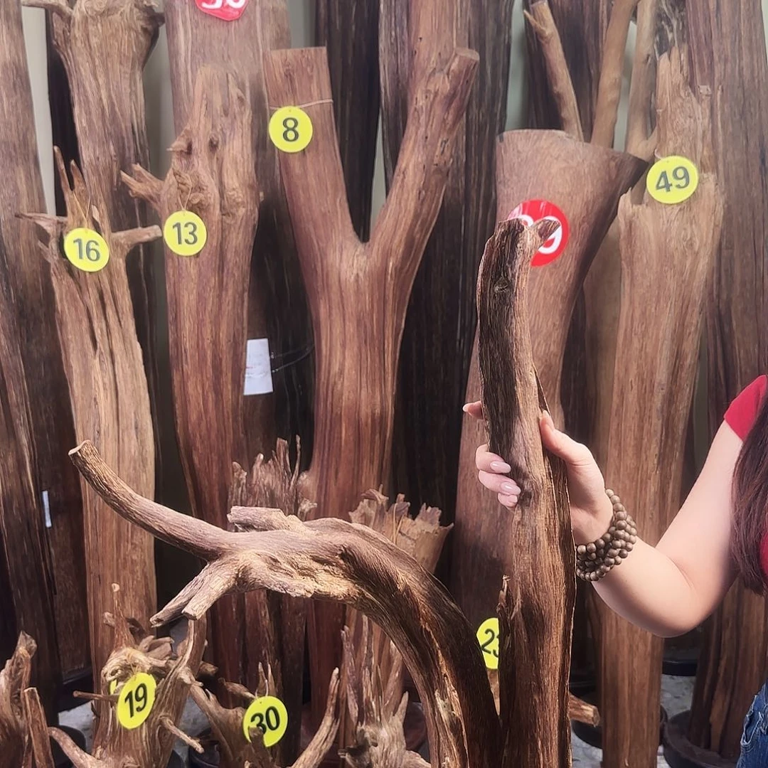 沉香沉香碎屑天然沉香原材料香料