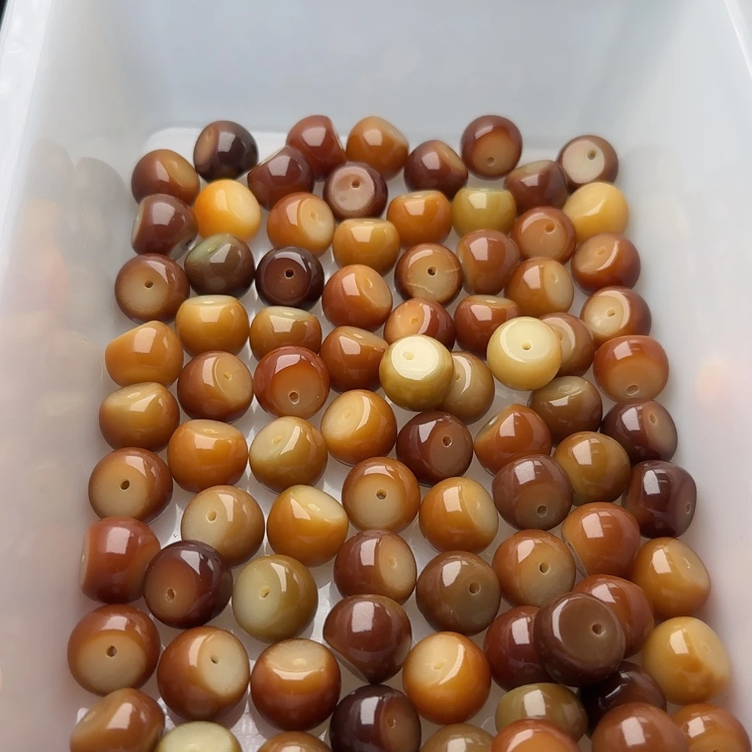 吊坠菩提根/象牙果20颗肥料追光14.8蒜瓣 厚切