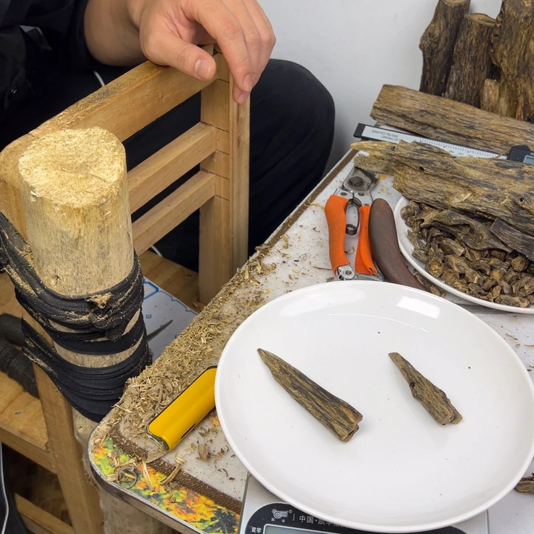 线香奇楠虫漏香13克