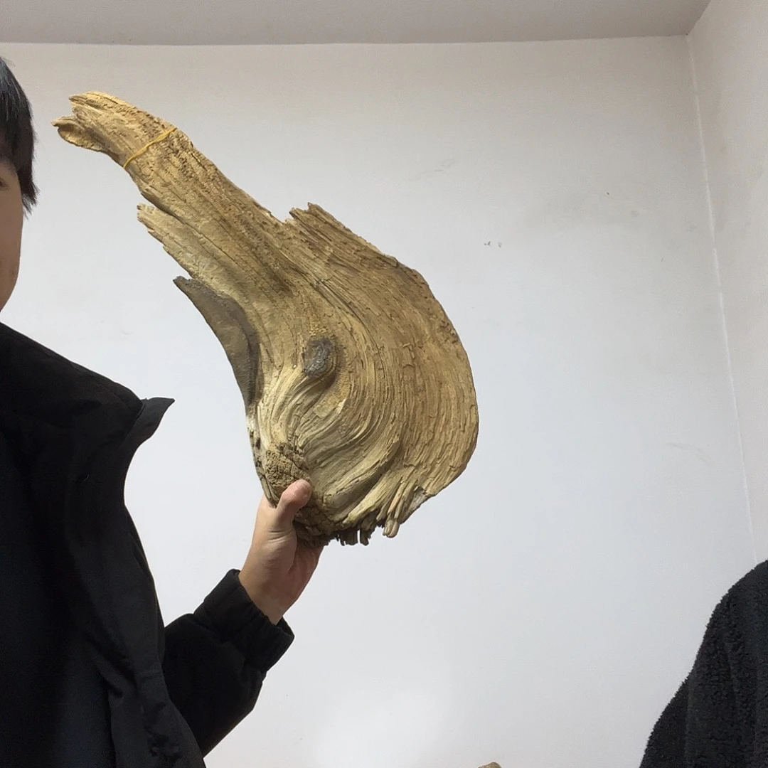 黔***游柏木（崖柏）这个世界上最好的朋友