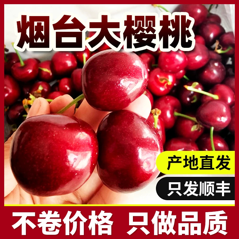 耀好正宗烟台【美早】大樱桃车厘子露天新鲜水果当季顺丰包邮孕妇