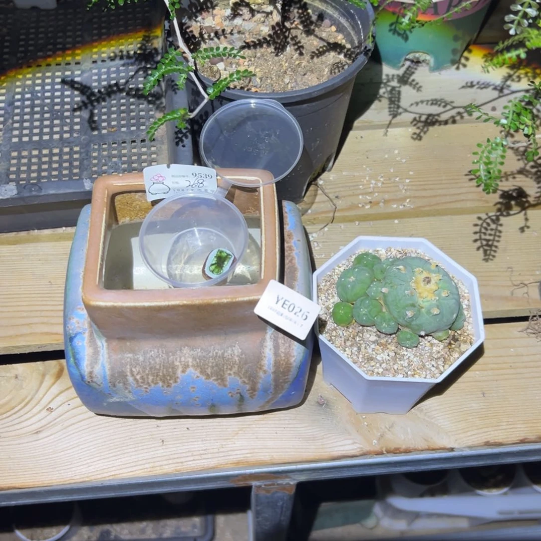 紫砂花盆圈***n精品YE026一套盆盆盆盆盆