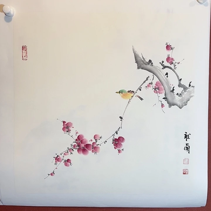 国画听兰老师花鸟