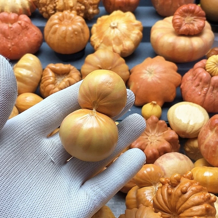 冬***把墨西哥葫芦微瑕不退不换