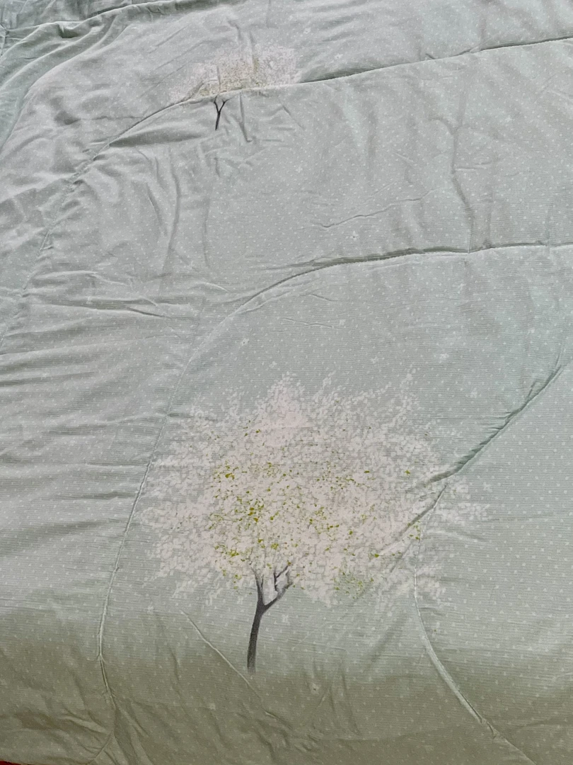 2*2.3薄荷绿发财树夏凉被