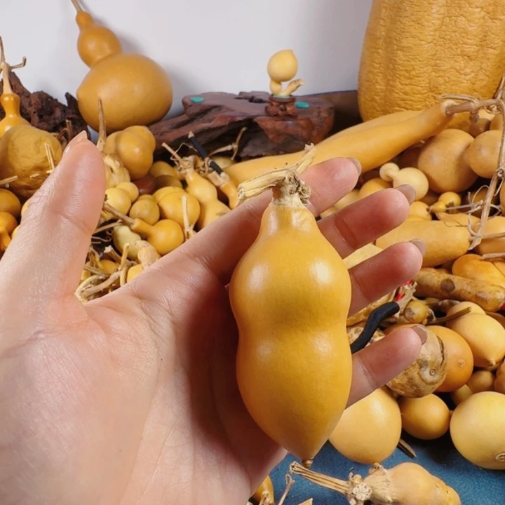 静**艺哈哈哈生生世世去兔兔我