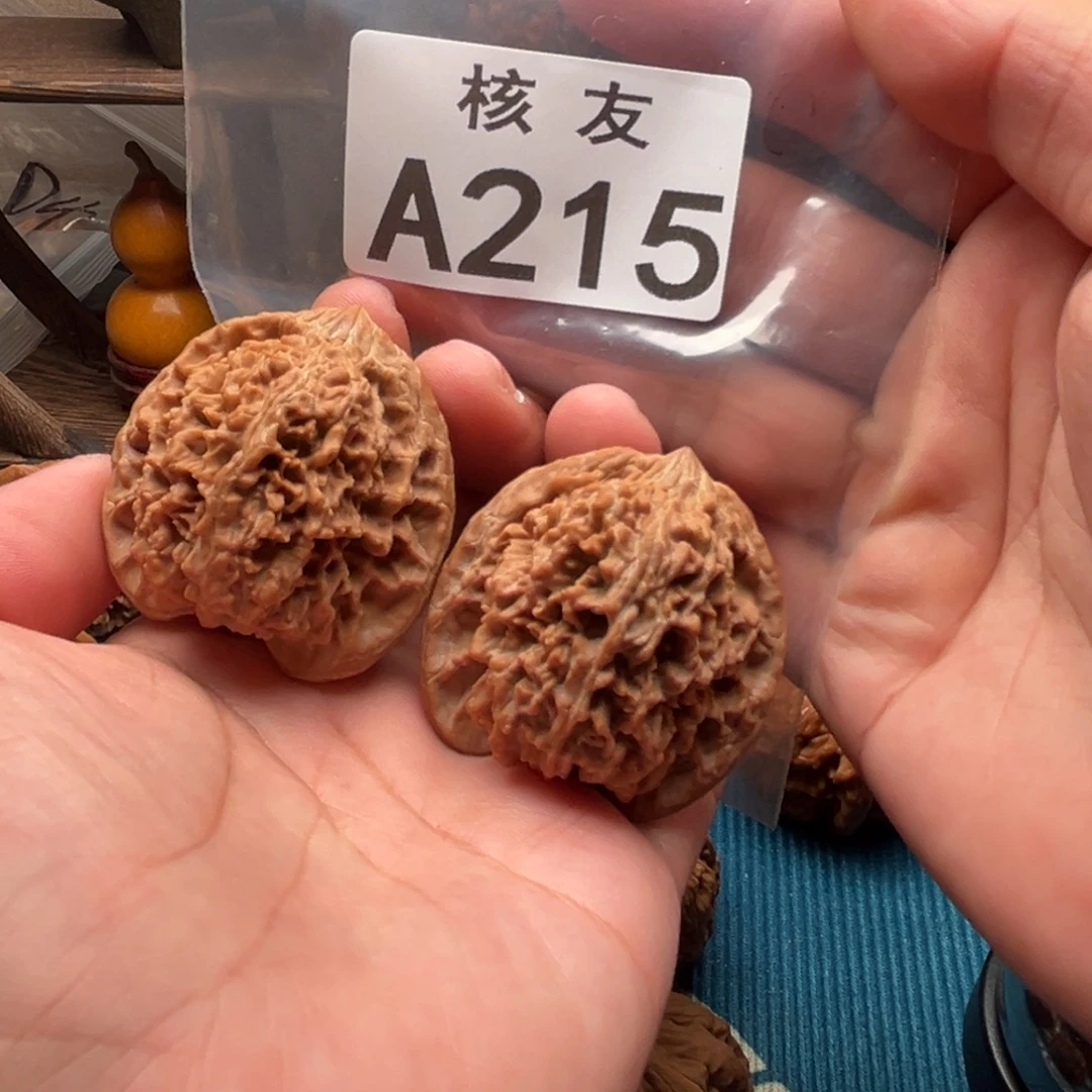 核桃满天星111111111