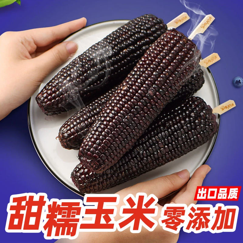 【试吃2棒】2024东北头茬黑糯玉米整箱6斤以上拍10棒精选