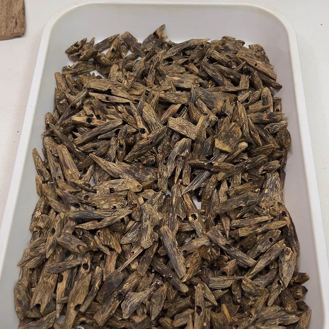 沉香碎屑沉香金莎叶瓜子料100克