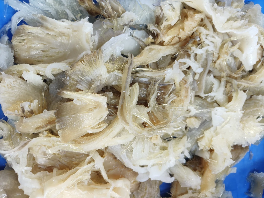 [鲜鱼刺头胶]汕尾港纯手工洗鱼刺头靓(翅汤)胶质浓稠汤水奶白