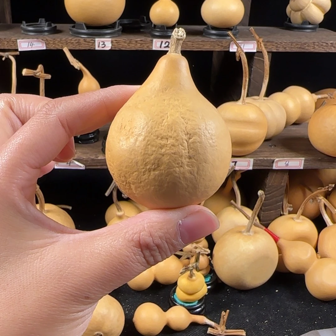 P***虾葫芦葫芦葫芦葫芦葫芦葫芦