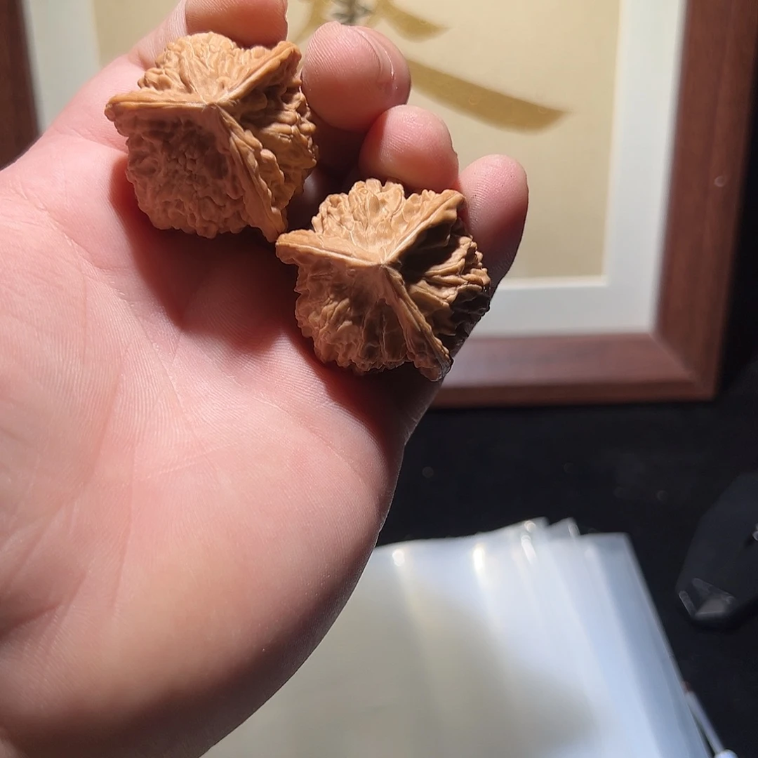 核桃哈哈哈哈哈哈哈哈哈哈哈