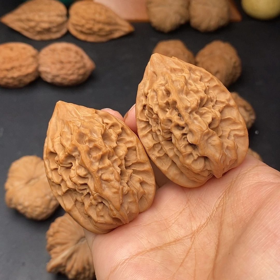 把件文玩核桃剑齿虎全品