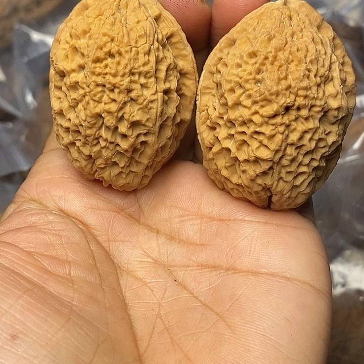 把件文玩核桃云南铁核桃71