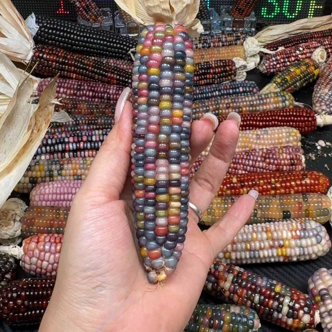 柏香籽/百香籽吊坠凌***油