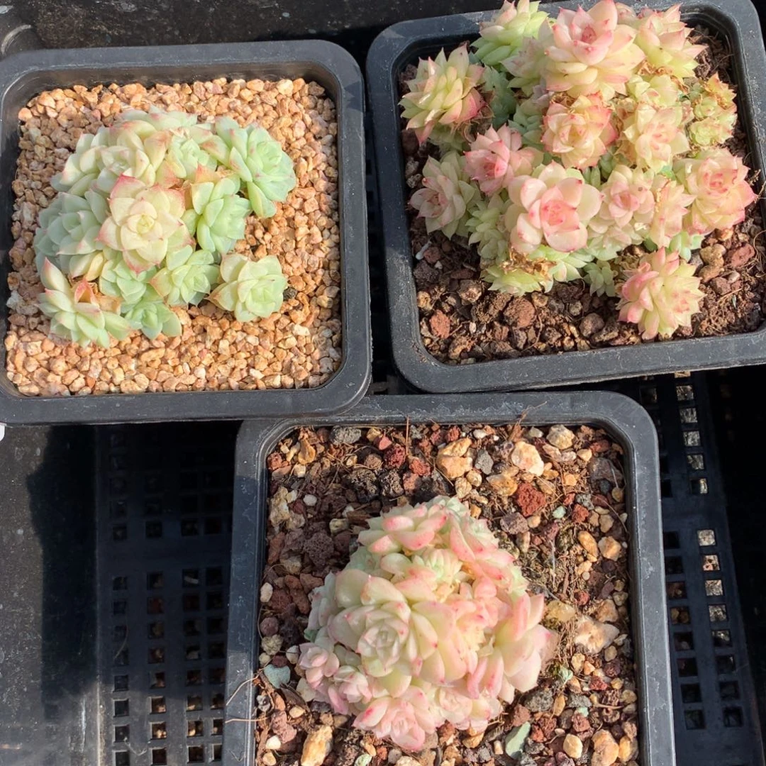 1213-32 套餐一组