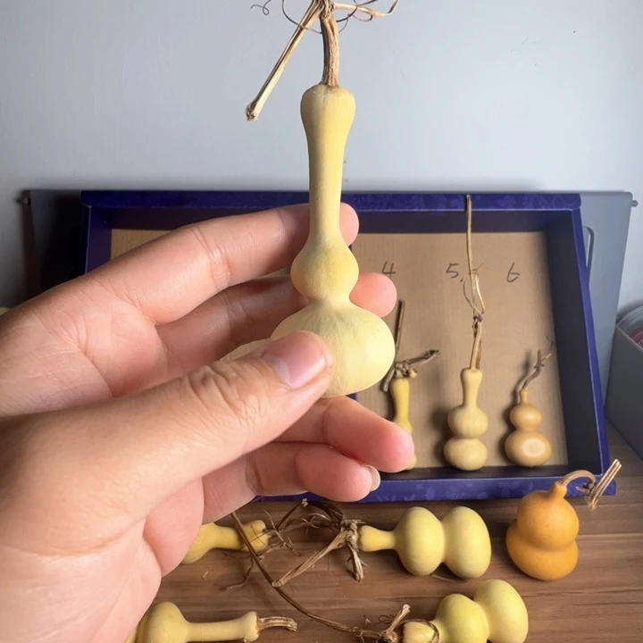 撕***肺葫芦葫芦葫芦葫芦