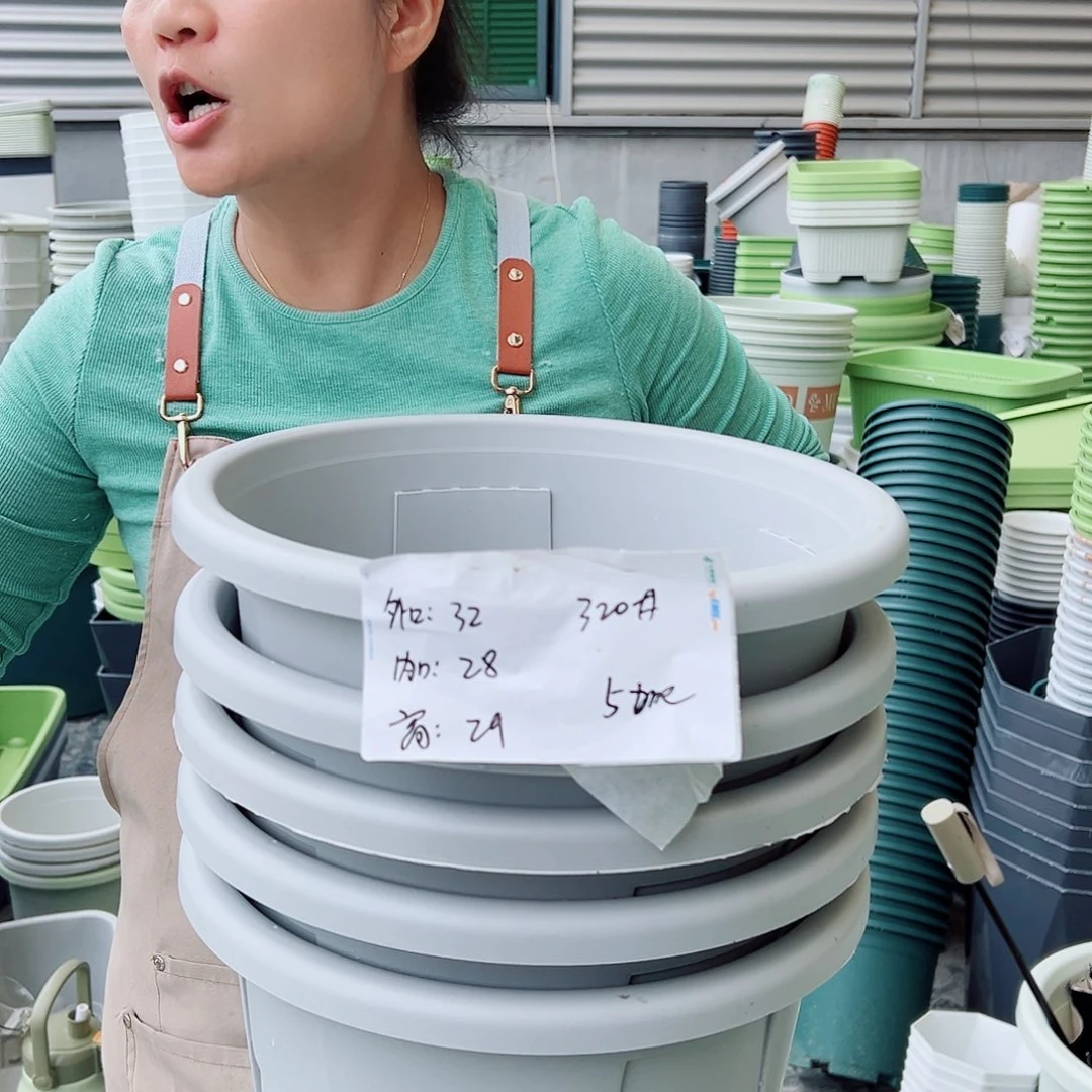 玫瑰320#灰白色5个无托
