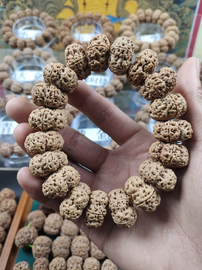 古龙帝王花23尺夹板