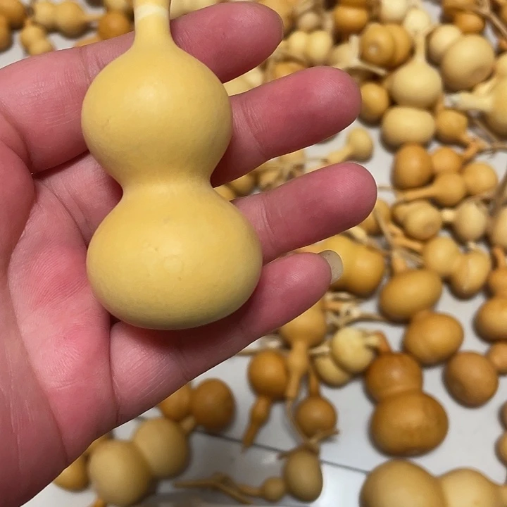 青***央大叶紫檀（黑酸枝木类）