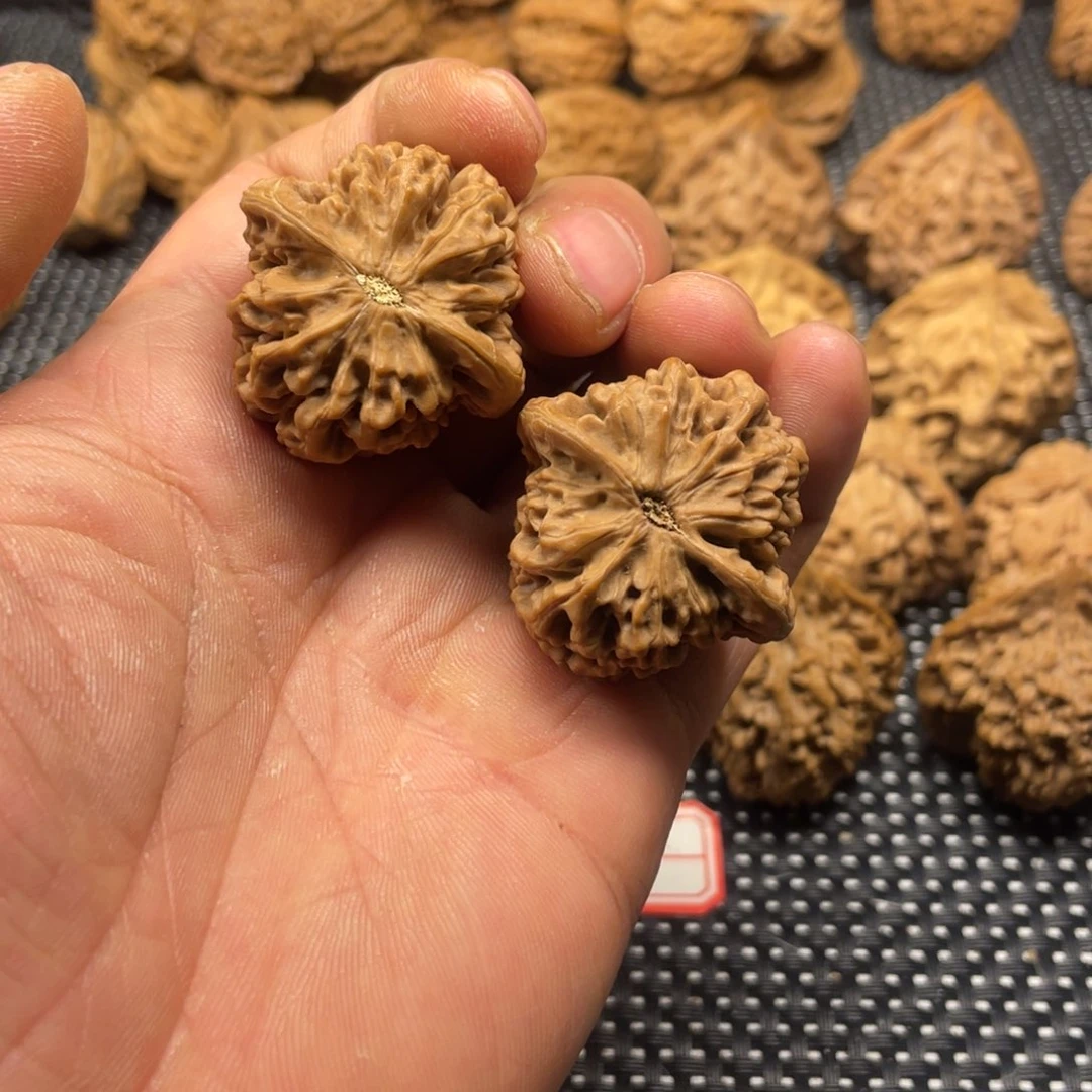 ?****?秦岭的小王核桃啊啊啊