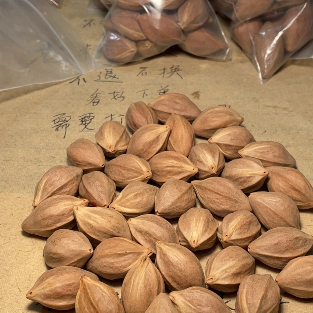 清*渡不退不换aaasss