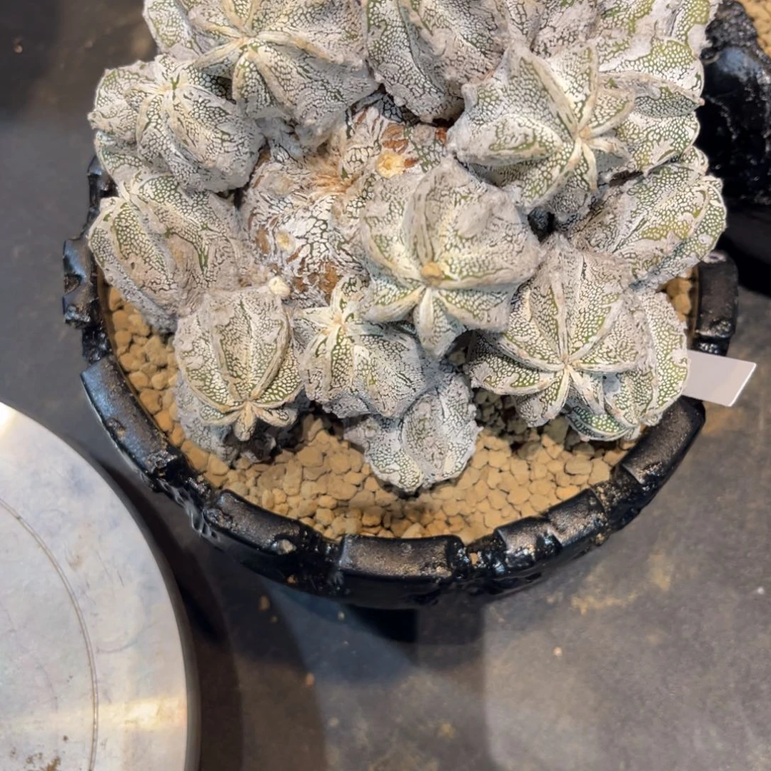 维***维哈哈哈哈哈哈哈哈哈哈