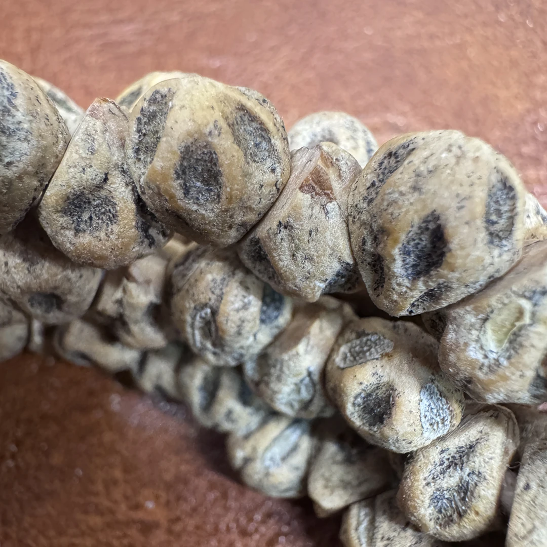 “枯木逢春的枯”柏香籽脖挂