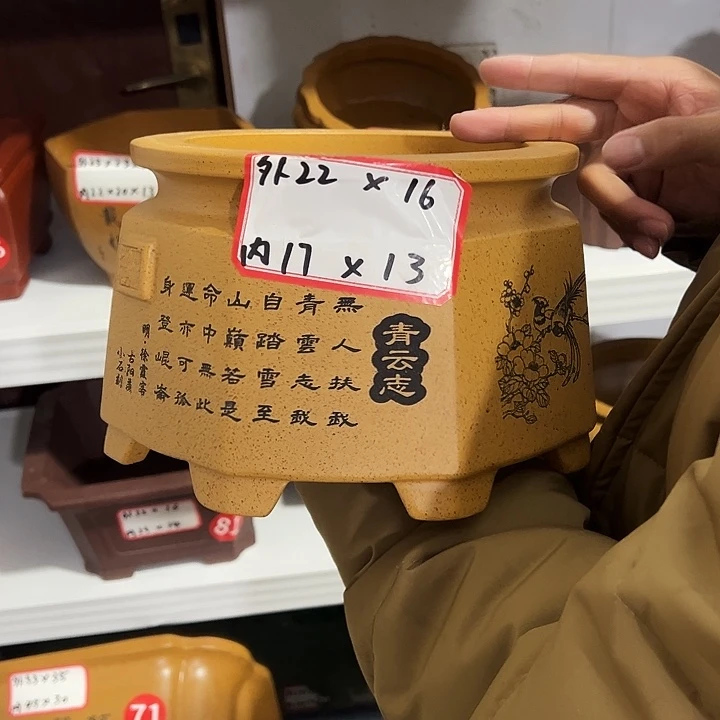 紫砂花盆紫砂花盆