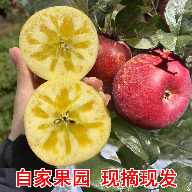 【明日达顺丰发货】云南高山糖心丑苹果6斤装