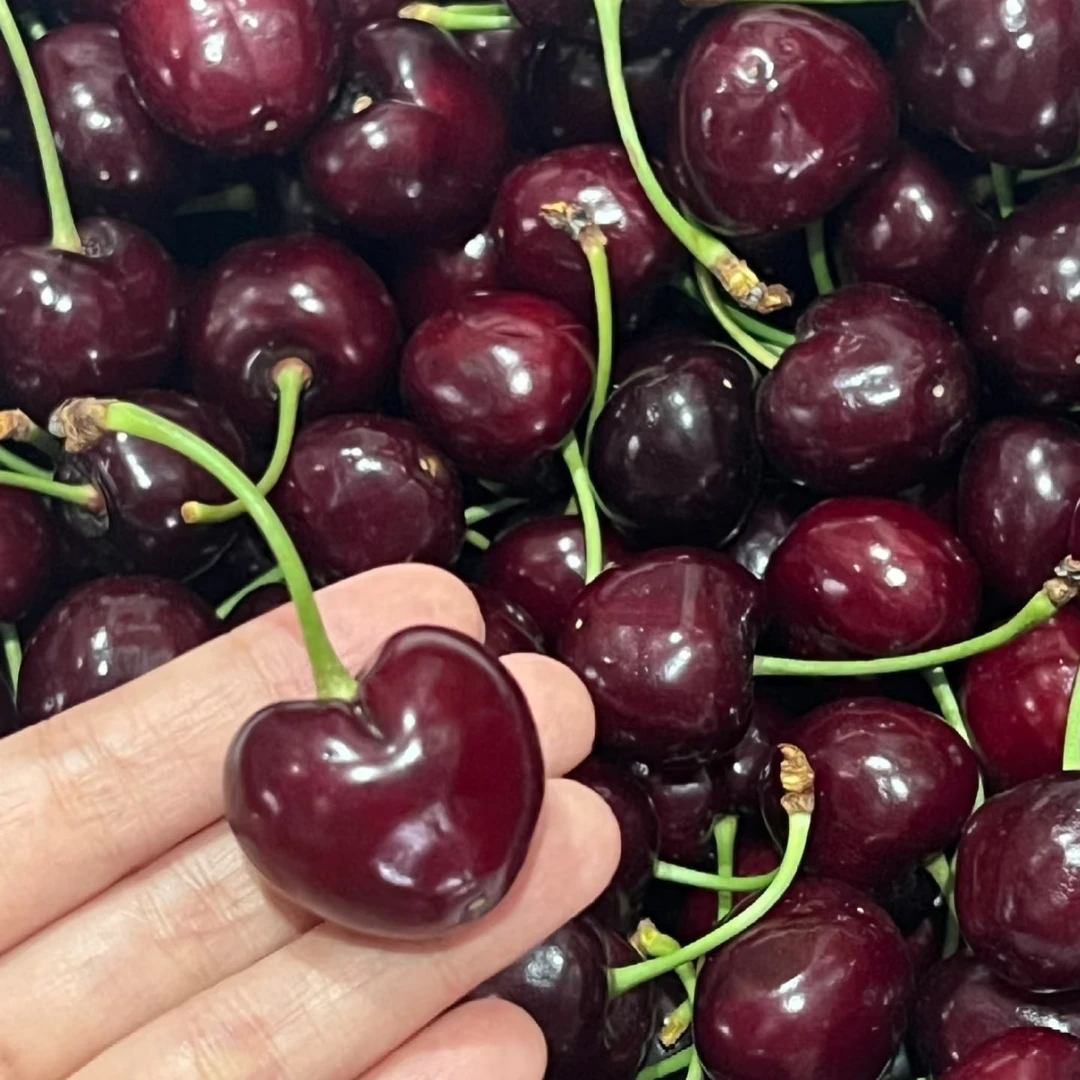 买3斤送2斤烟台黑珍珠纯甜口感新鲜车厘子顺丰包邮