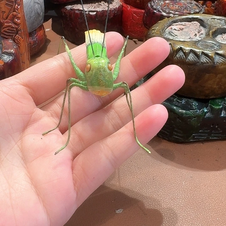 陶瓷麻线鼓茶空间