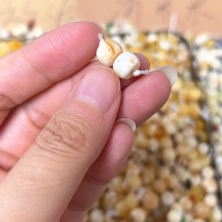 裸石蜜蜡未镶嵌8.1mm一对