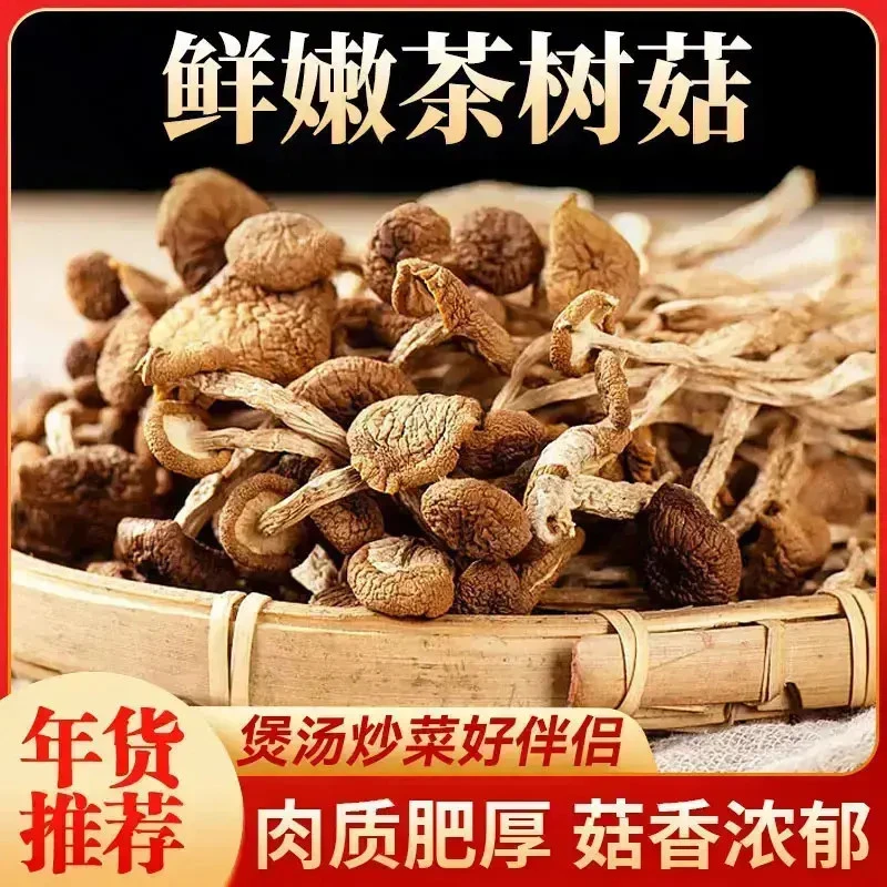 正宗云南富硒茶树菇煲汤材料不开伞嫩菇原汁原味健康美味纯干货.