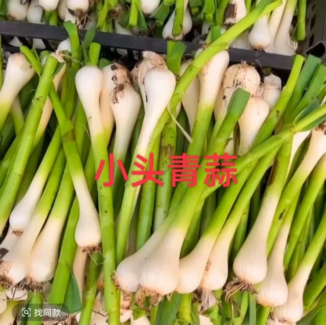 东北白皮青蒜小头带梗40头【刚分瓣】