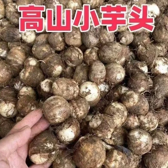 【山东牛奶芋头】软糯丝滑宝宝辅食农家自产自销