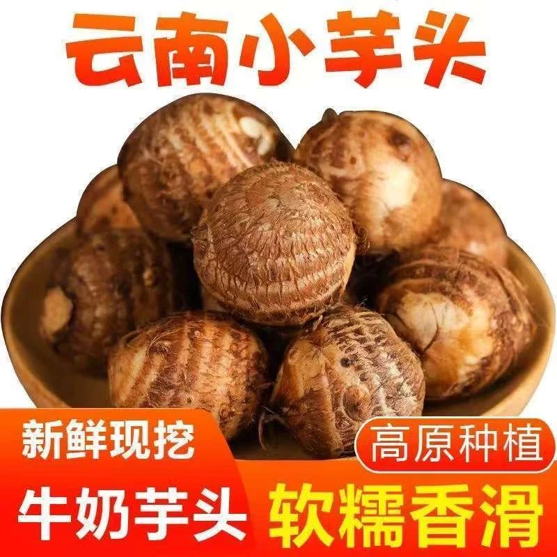 云南高山种植牛奶芋头红色沙土芋头粉糯芋头1斤/5斤装