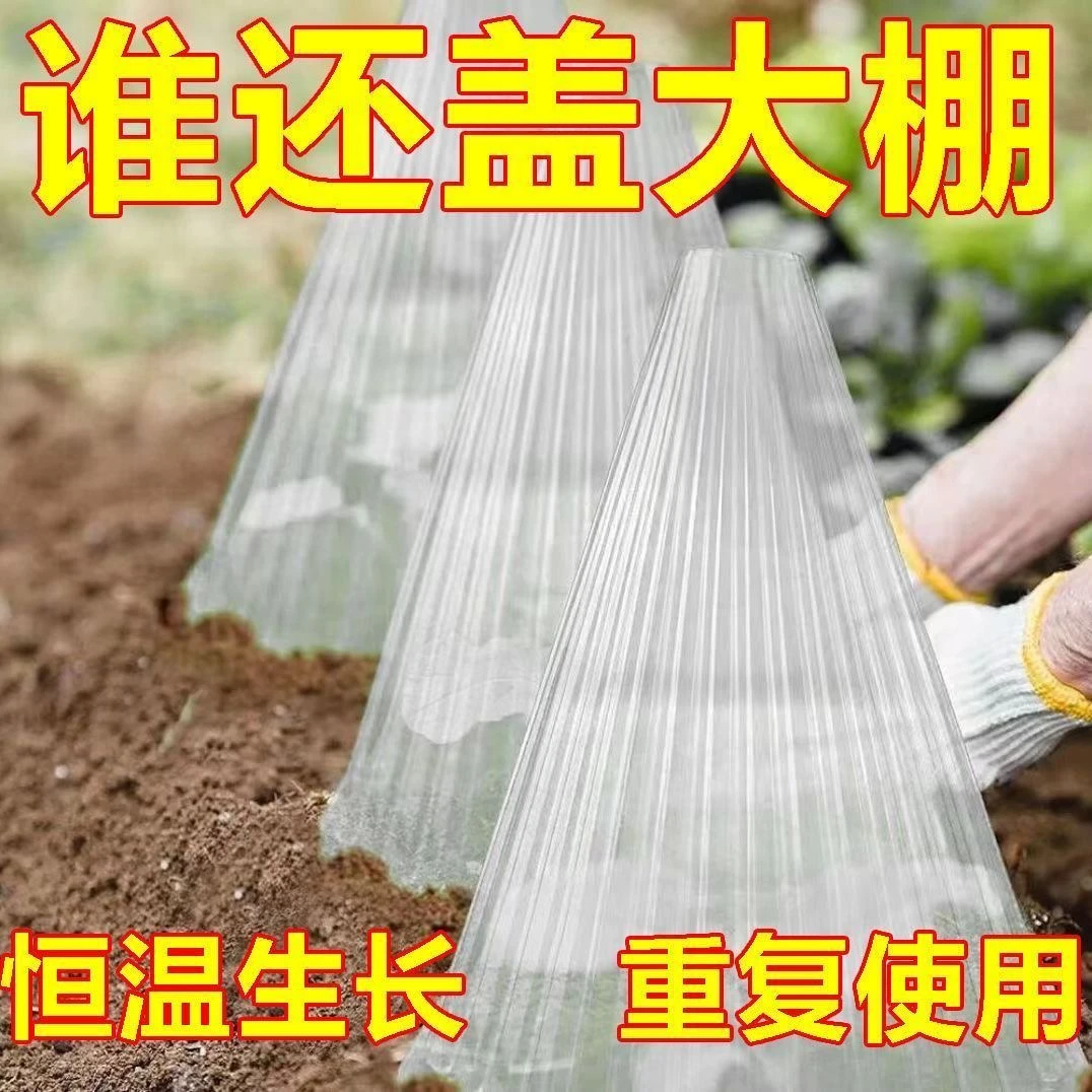 植物蔬菜幼苗保护罩可重复使用绿植鲜花防蜗牛防鸟类霜冻害金钟罩