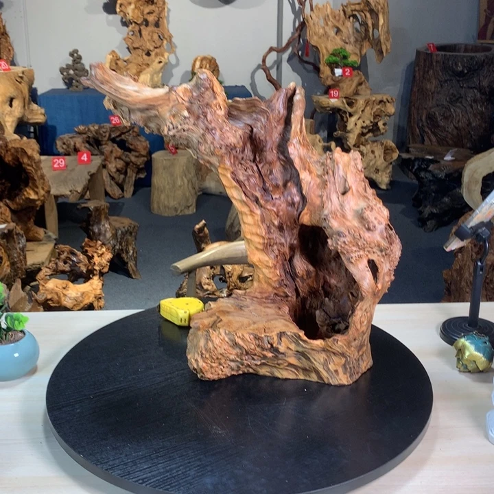 老***A888888888888888888