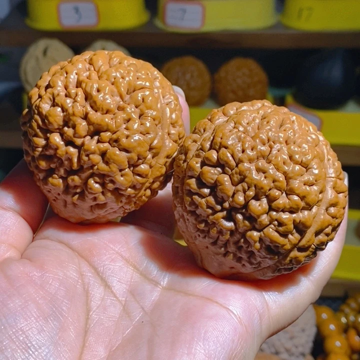 野生三瓣脑纹大金刚5256