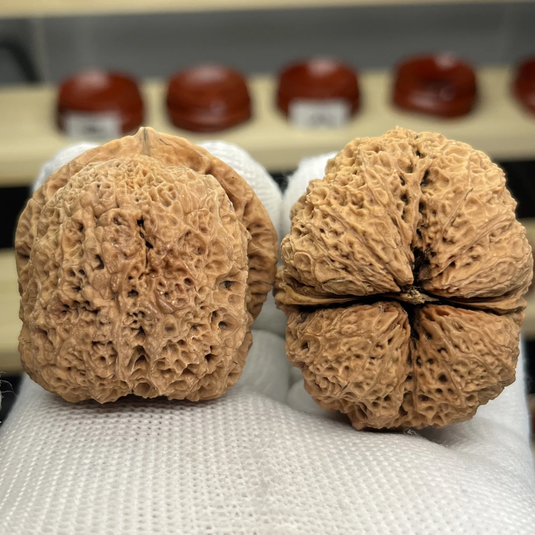 文玩铁核桃帝王蟾45尺