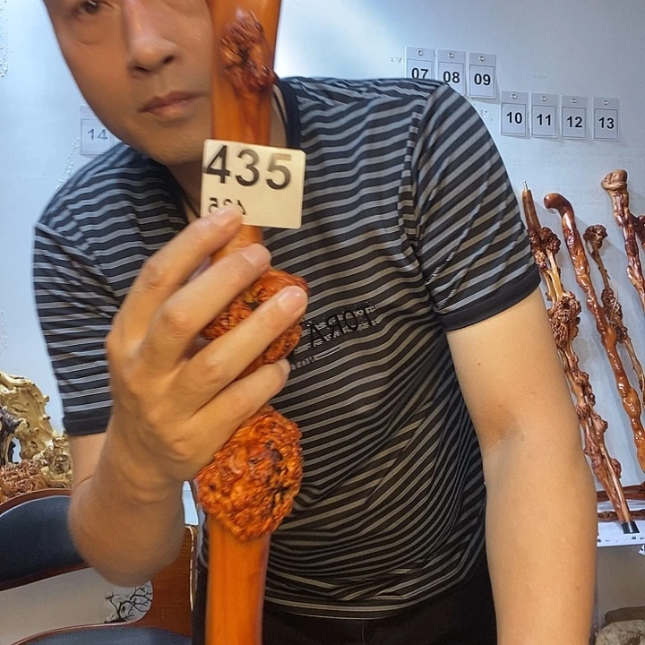 我***杨黑果木云南黑果木树榴摆件