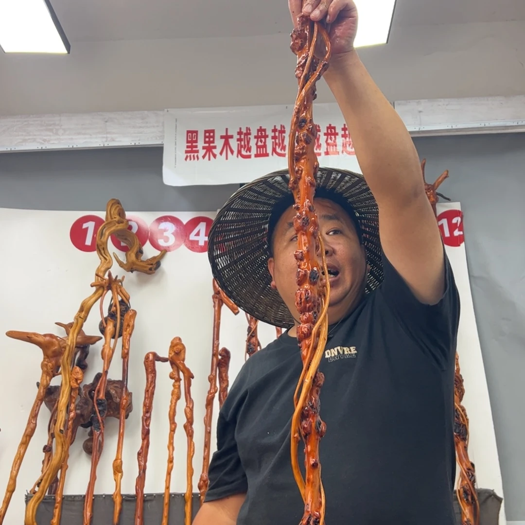 孤***鹜黑果木其他黑果木461
