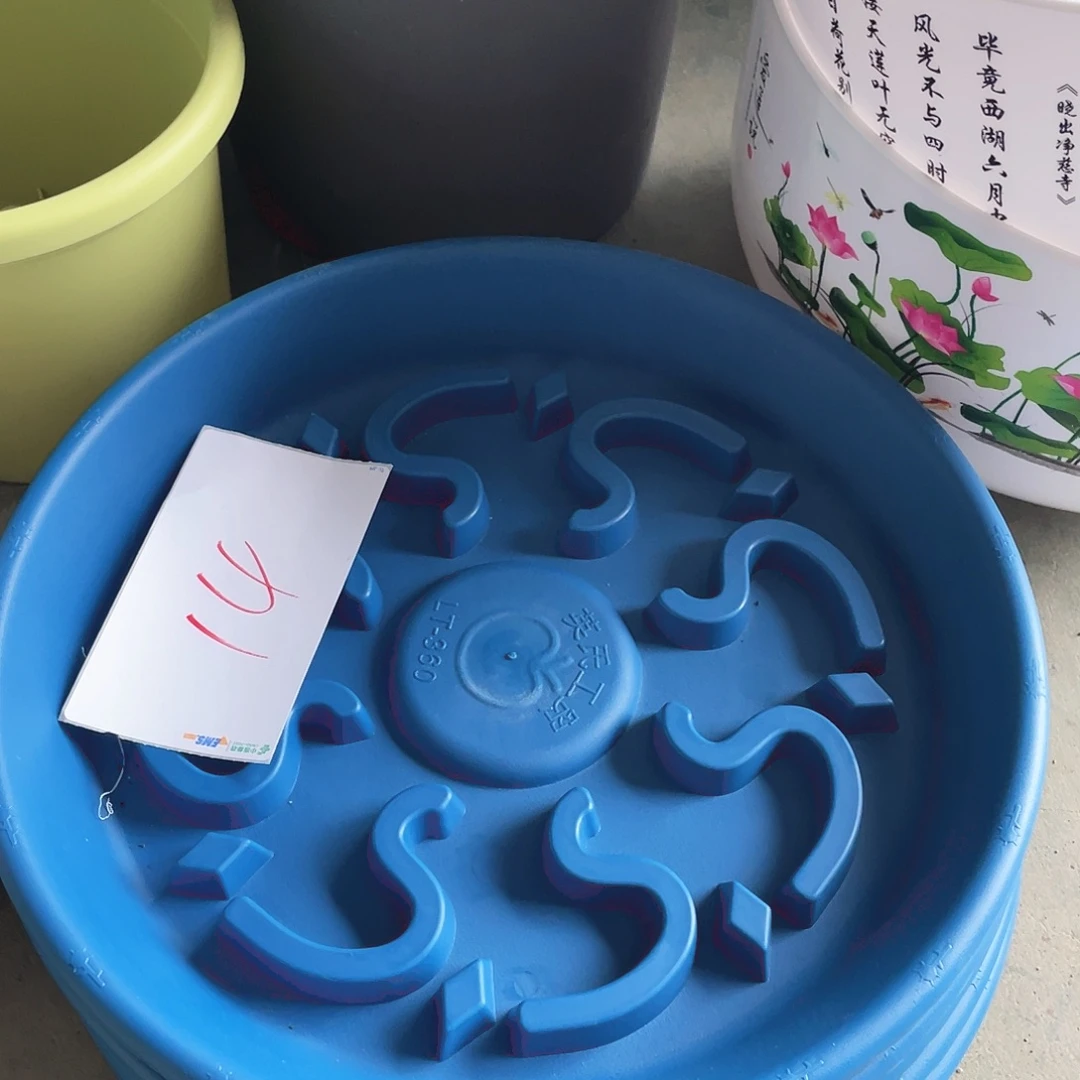 编号是14号的14号的